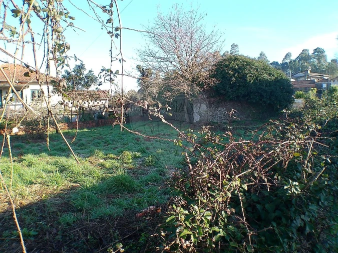 Moradia T2 para Venda em Canedo, Vale e Vila Maior Foto 16