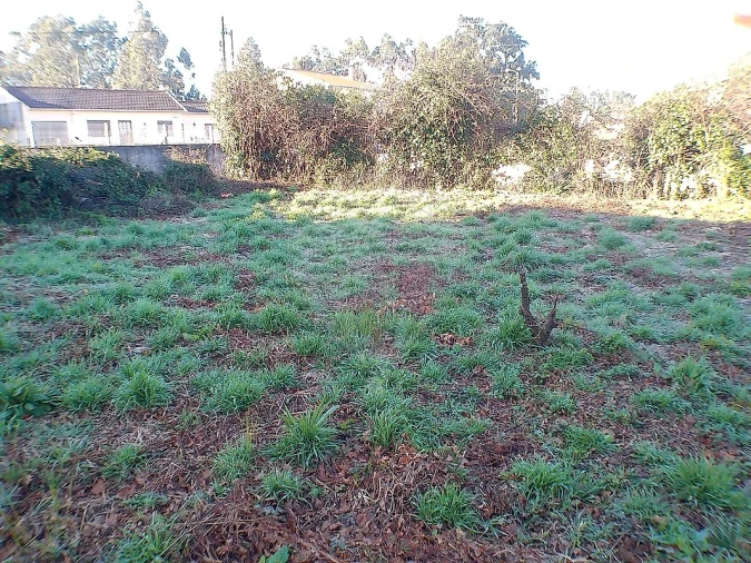 Moradia T2 para Venda em Canedo, Vale e Vila Maior Foto 26