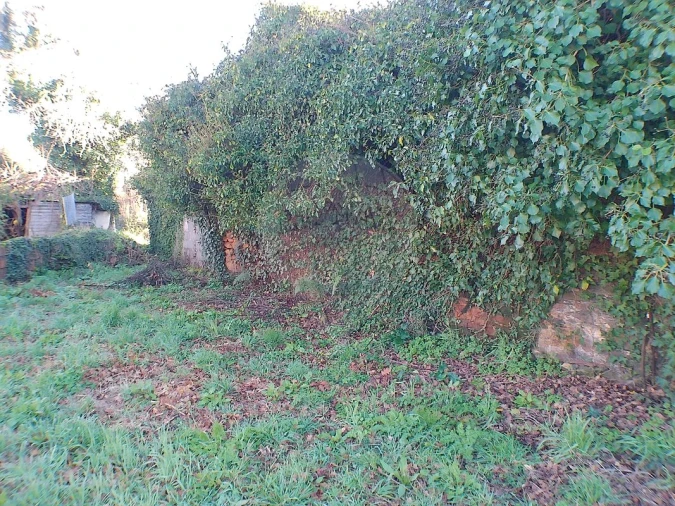 Moradia T2 para Venda em Canedo, Vale e Vila Maior Foto 21