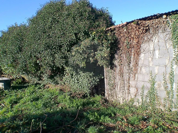 Moradia T2 para Venda em Canedo, Vale e Vila Maior Foto 30