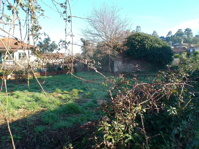 Moradia T2 para Venda em Canedo, Vale e Vila Maior Foto 15