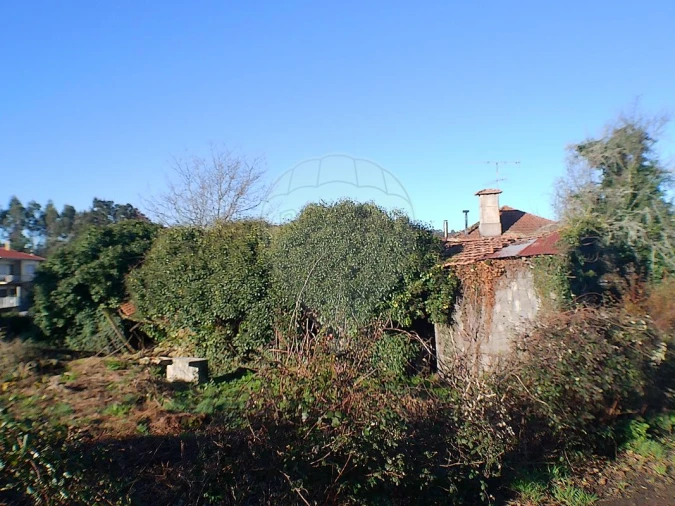Moradia T2 para Venda em Canedo, Vale e Vila Maior Foto 2