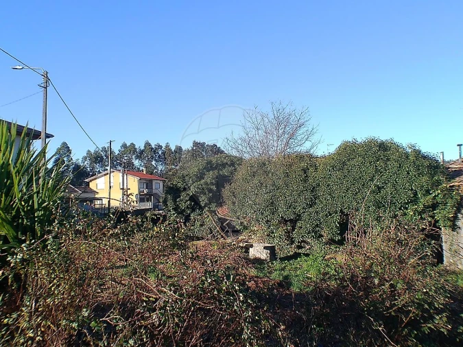 Moradia T2 para Venda em Canedo, Vale e Vila Maior Foto 3