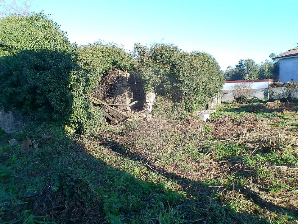 Moradia T2 para Venda em Canedo, Vale e Vila Maior Foto 11