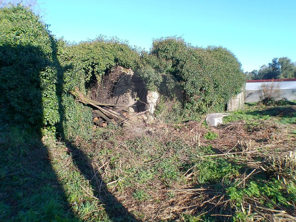 Moradia T2 para Venda em Canedo, Vale e Vila Maior Foto 18
