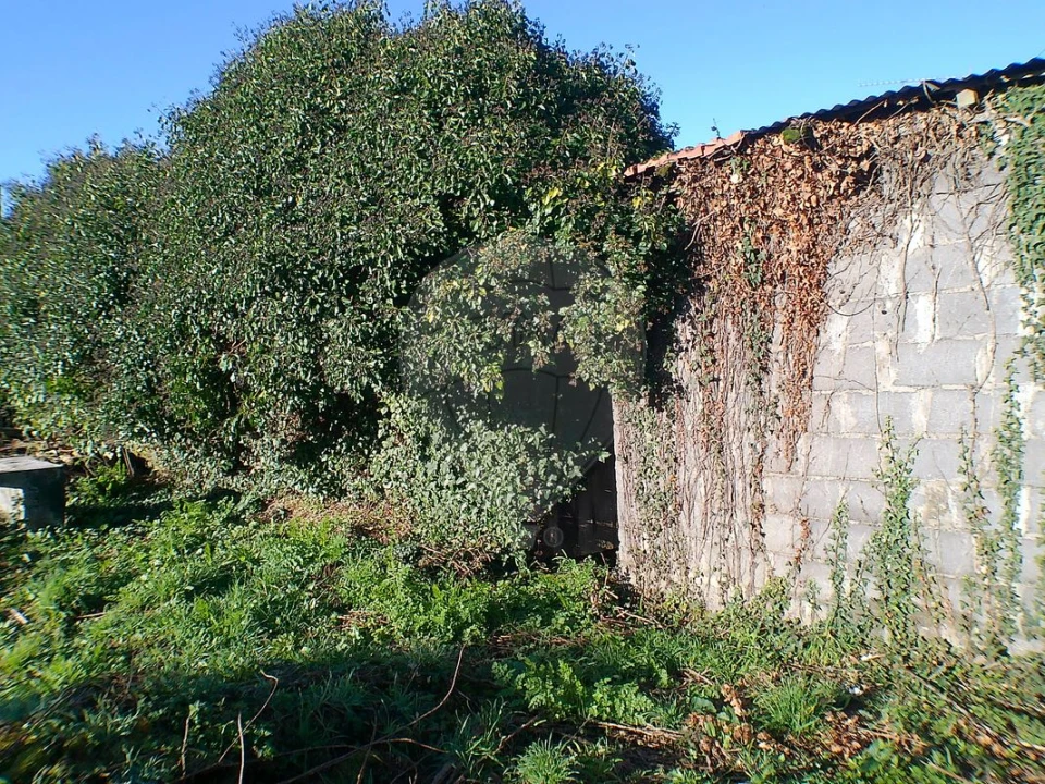 Moradia T2 para Venda em Canedo, Vale e Vila Maior Foto 32