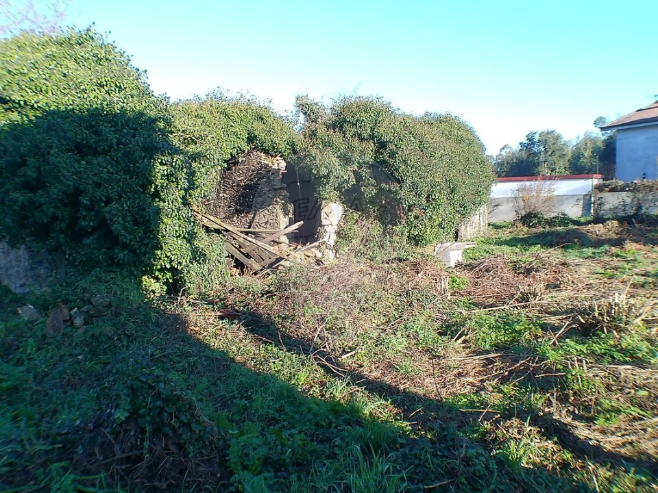 Moradia T2 para Venda em Canedo, Vale e Vila Maior Foto 9