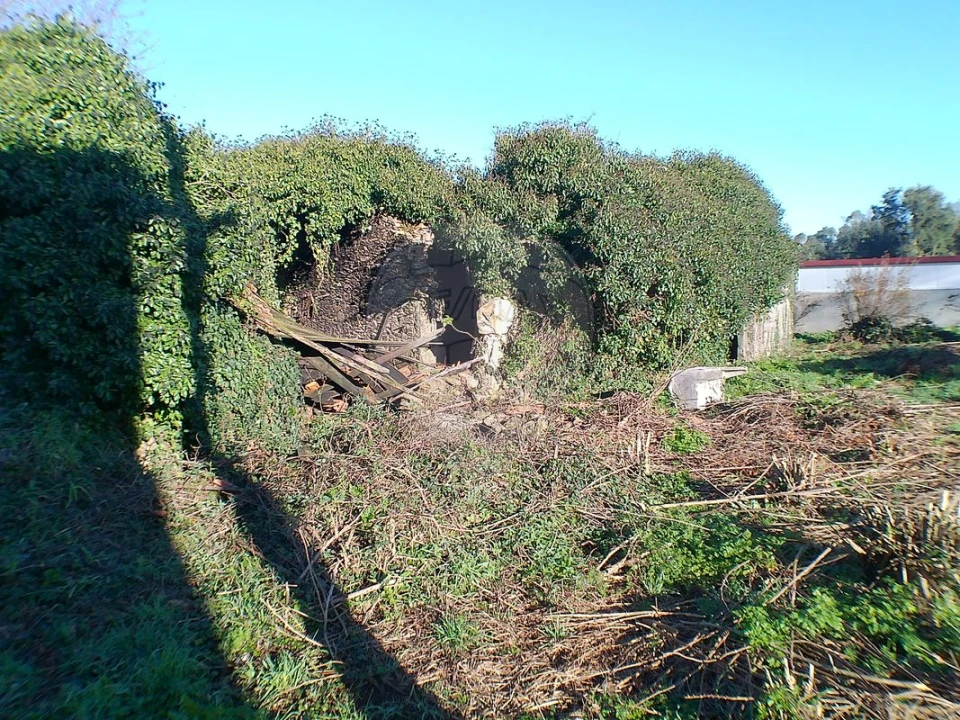 Moradia T2 para Venda em Canedo, Vale e Vila Maior Foto 17
