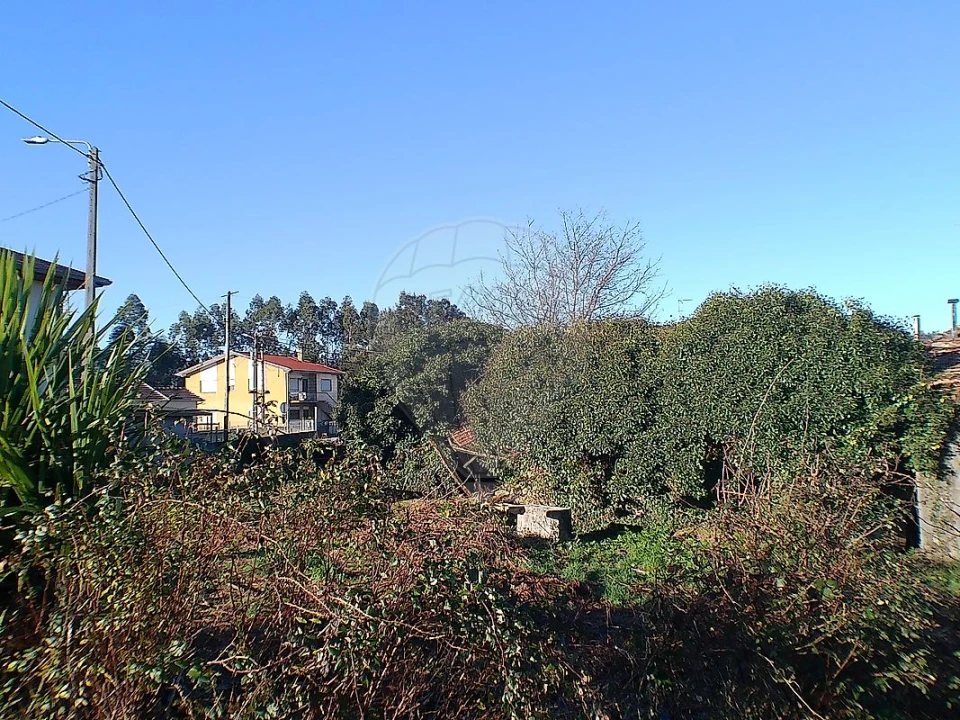 Moradia T2 para Venda em Canedo, Vale e Vila Maior Foto 3