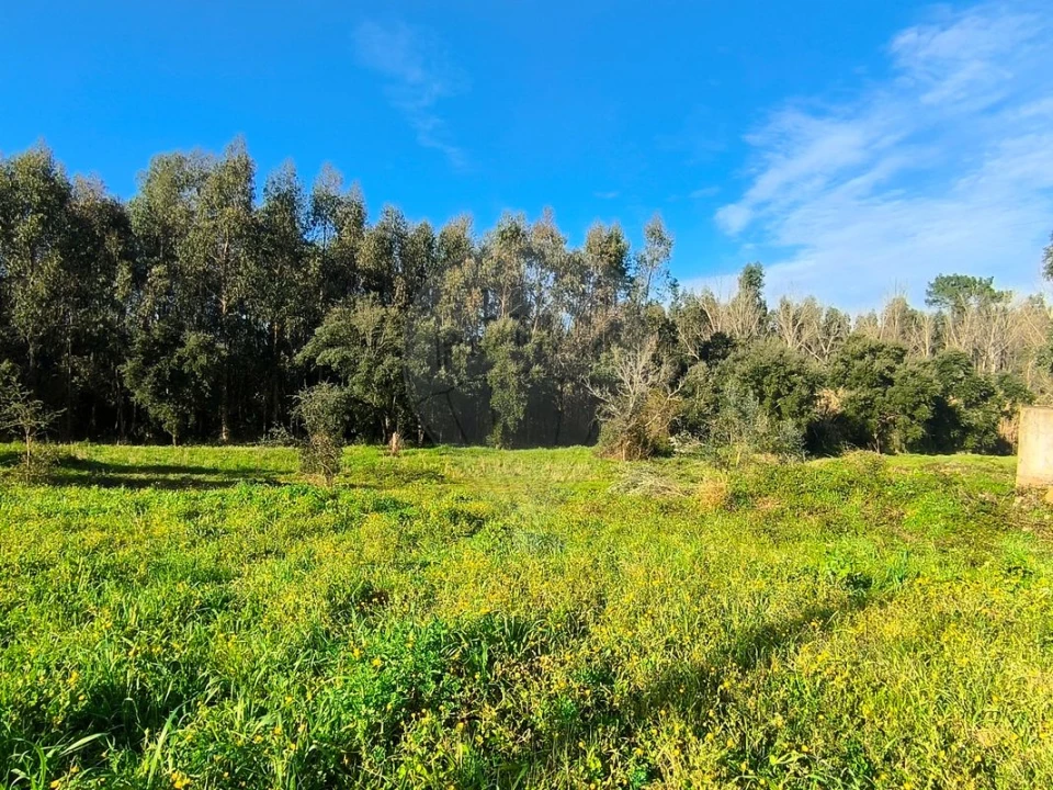 Terreno para Venda em Outeiro da Cortiçada e Arruda dos Pisões Foto 7