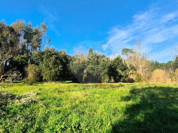 Terreno para Venda em Outeiro da Cortiçada e Arruda dos Pisões Foto 13