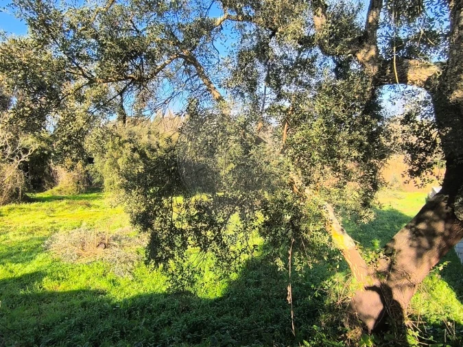 Terreno para Venda em Outeiro da Cortiçada e Arruda dos Pisões Foto 16