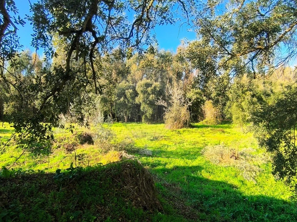 Terreno para Venda em Outeiro da Cortiçada e Arruda dos Pisões Foto 15