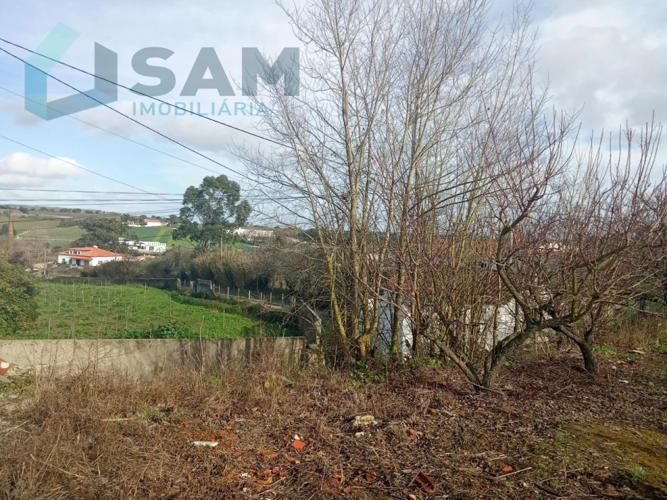 Terreno Misto para Venda em Aldeia Galega da Merceana e Aldeia Gavinha Foto 3