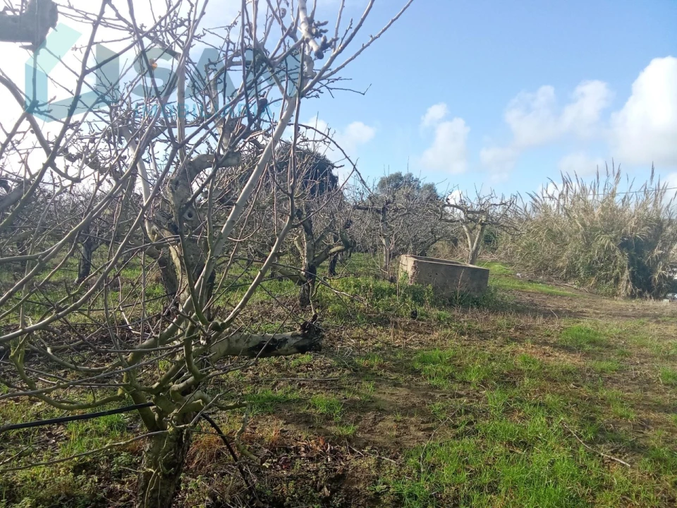 Terreno Misto para Venda em Aldeia Galega da Merceana e Aldeia Gavinha Foto 4