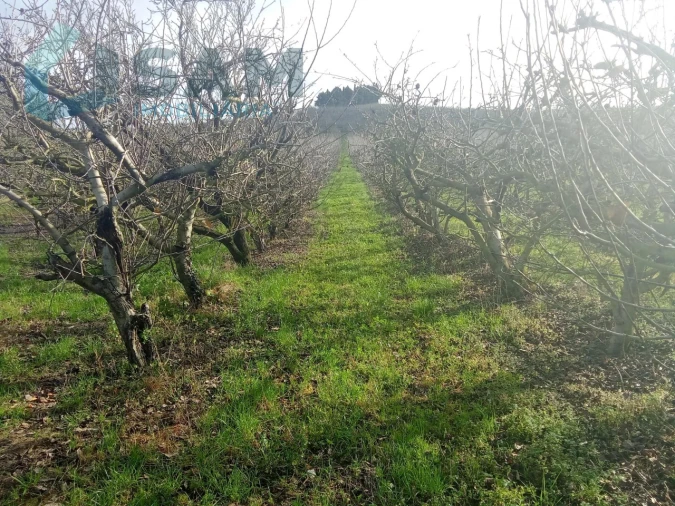 Terreno Misto para Venda em Aldeia Galega da Merceana e Aldeia Gavinha