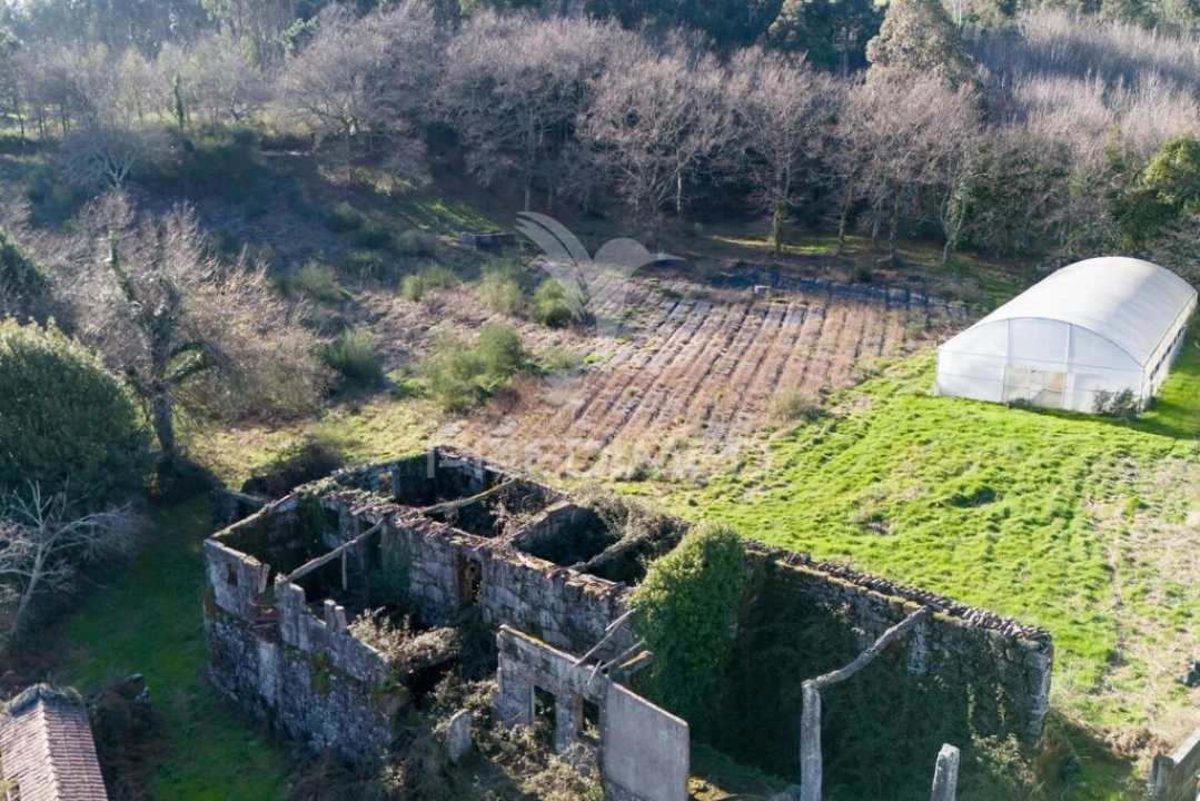 Quinta T3 para Venda em Serzedelo Foto 13