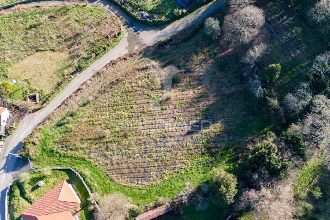 Quinta T3 para Venda em Serzedelo Foto 19