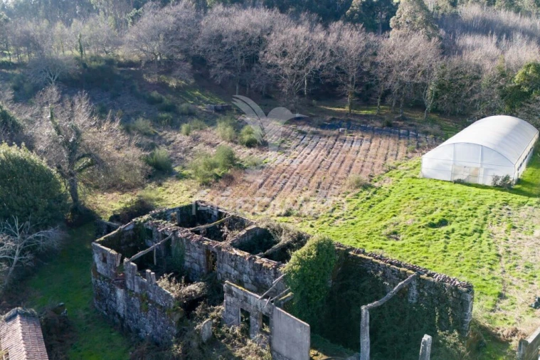 Quinta T3 para Venda em Serzedelo Foto 13