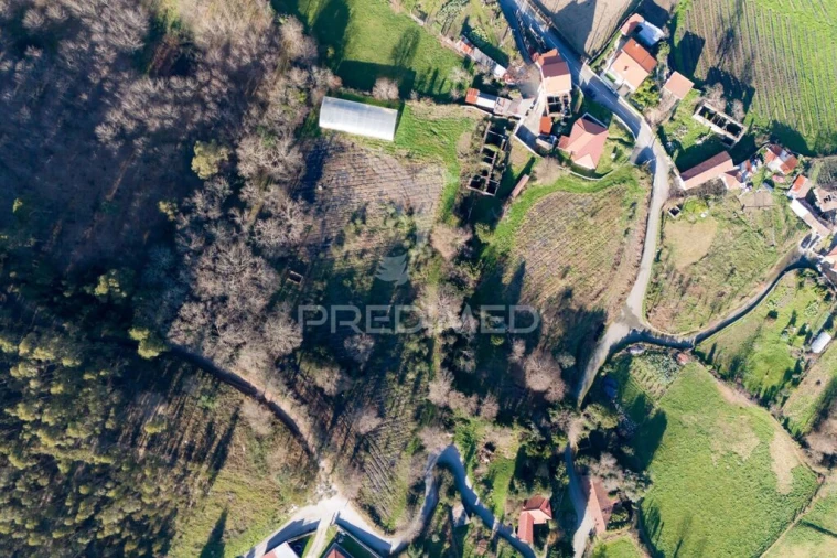 Quinta T3 para Venda em Serzedelo Foto 3