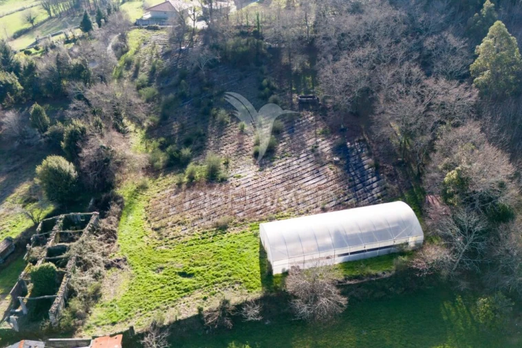 Quinta T3 para Venda em Serzedelo Foto 15