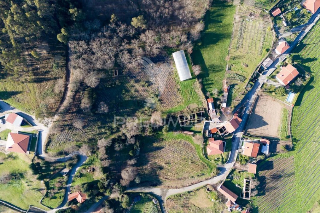 Quinta T3 para Venda em Serzedelo Foto 2