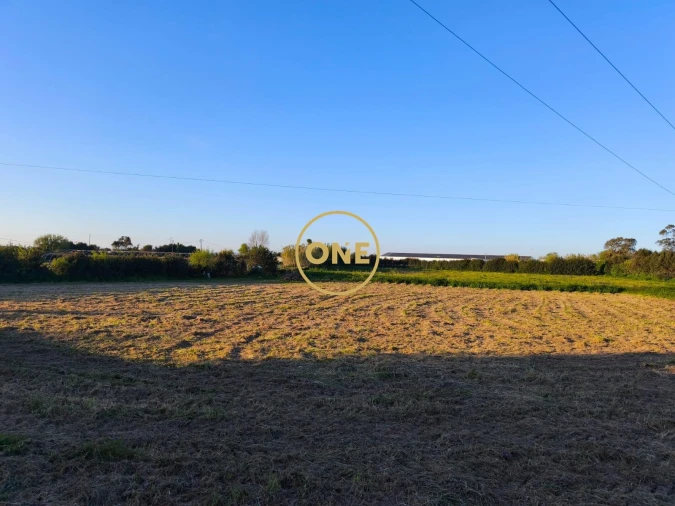 Terreno para Venda em Aguçadoura e Navais Foto 3