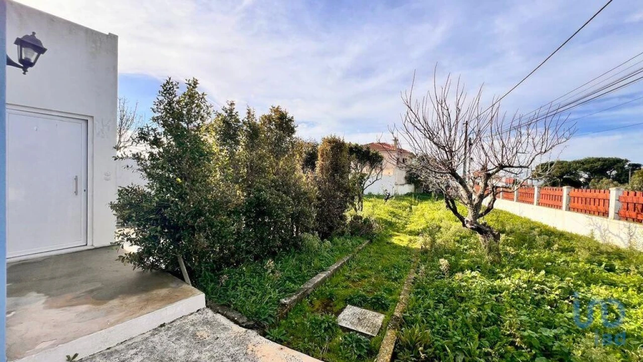 Moradia T2 para Arrendamento em Santo Isidoro Foto 4