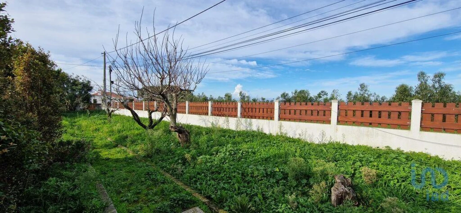 Moradia T2 para Arrendamento em Santo Isidoro Foto 9