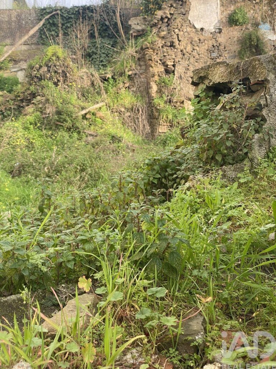 Moradia T2 para Venda em Peso da Régua e Godim Foto 22