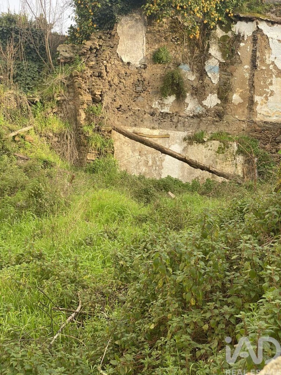 Moradia T2 para Venda em Peso da Régua e Godim Foto 25