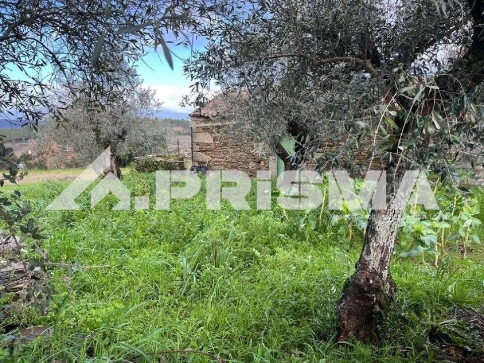 Armazém para Venda em Salgueiro do Campo Foto 2