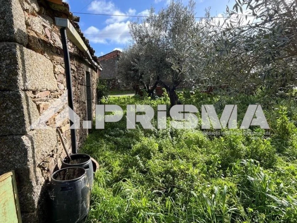 Armazém para Venda em Salgueiro do Campo Foto 14