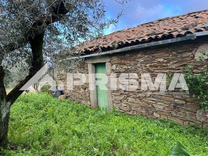 Armazém para Venda em Salgueiro do Campo Foto 1