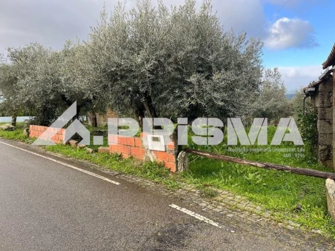 Armazém para Venda em Salgueiro do Campo Foto 17
