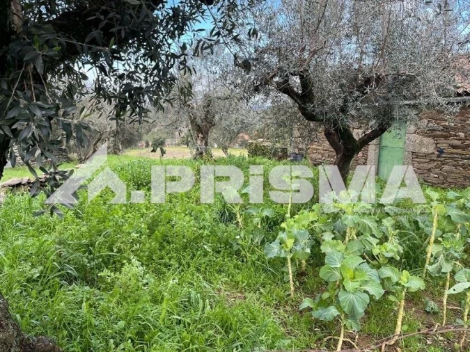 Armazém para Venda em Salgueiro do Campo Foto 3