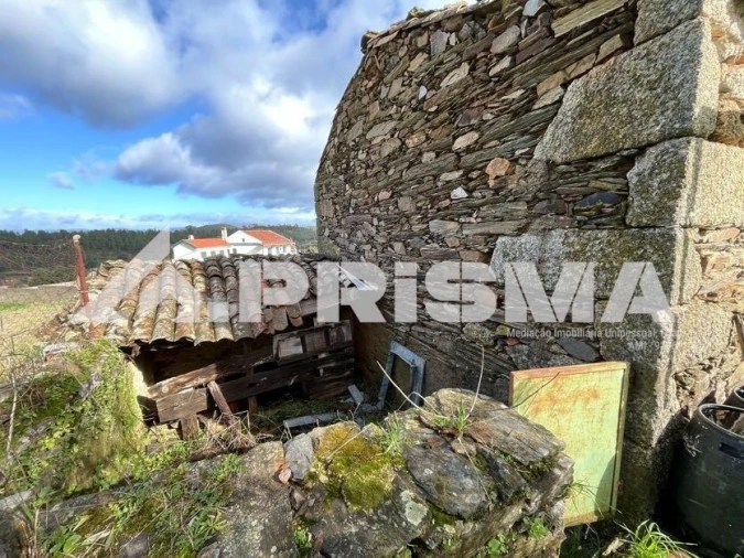 Armazém para Venda em Salgueiro do Campo Foto 12