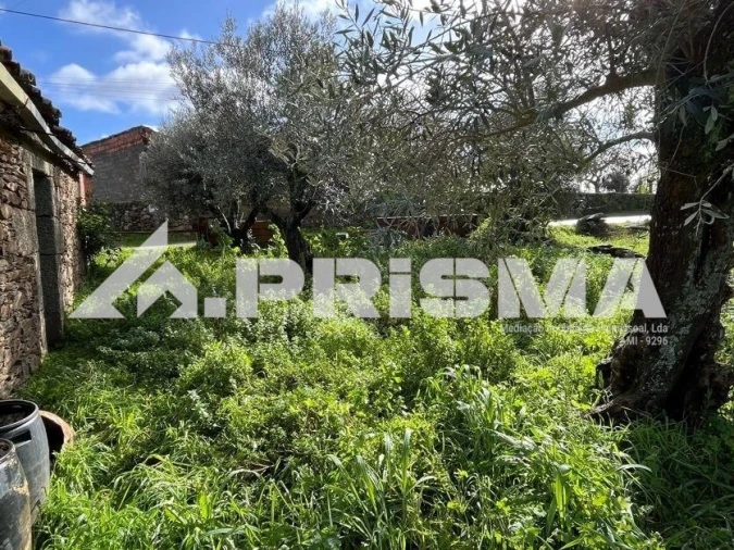 Armazém para Venda em Salgueiro do Campo Foto 11