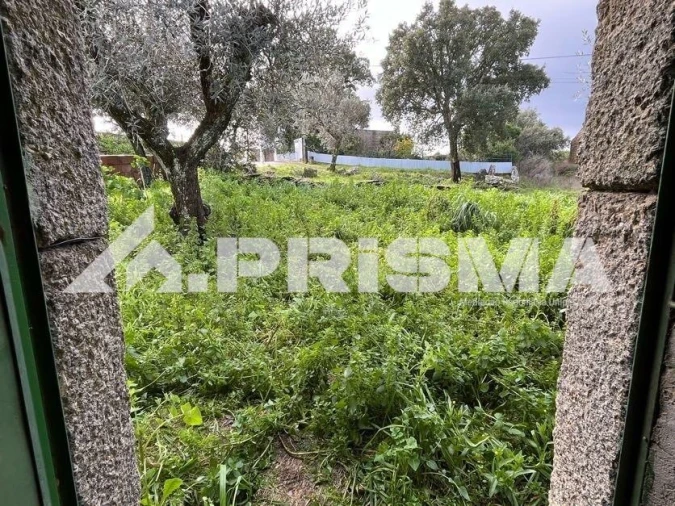 Armazém para Venda em Salgueiro do Campo Foto 10