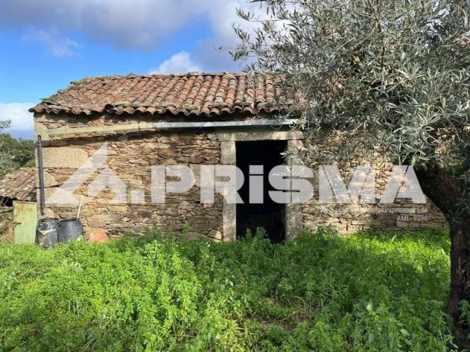 Armazém para Venda em Salgueiro do Campo Foto 4