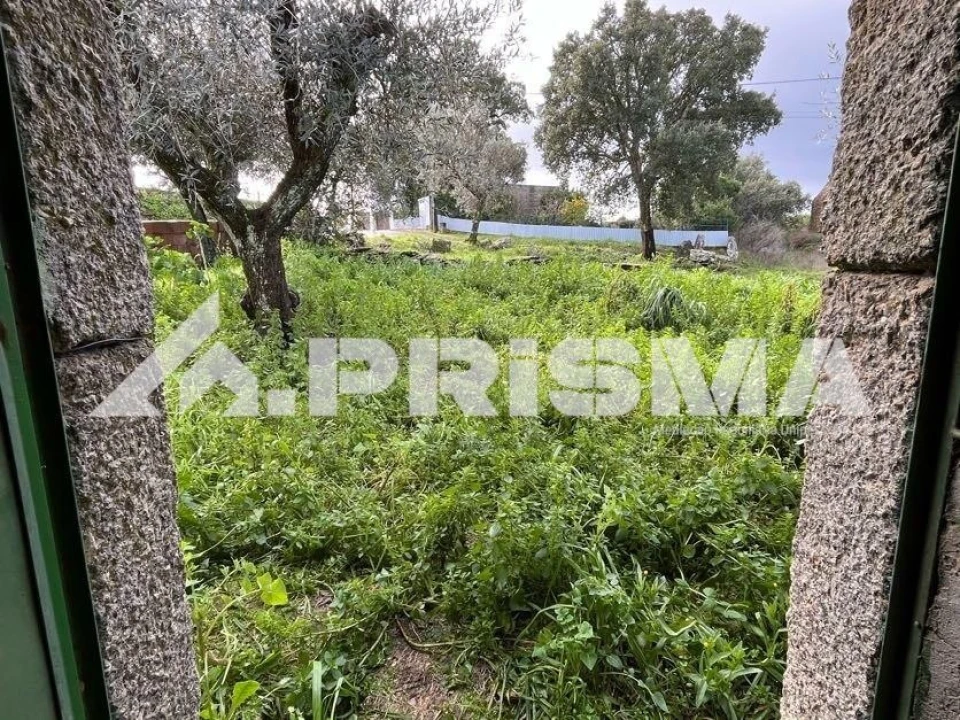 Armazém para Venda em Salgueiro do Campo Foto 10