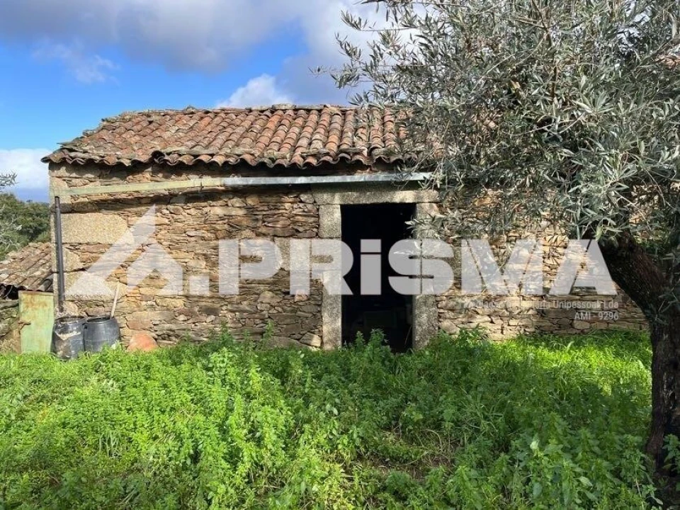 Armazém para Venda em Salgueiro do Campo Foto 4