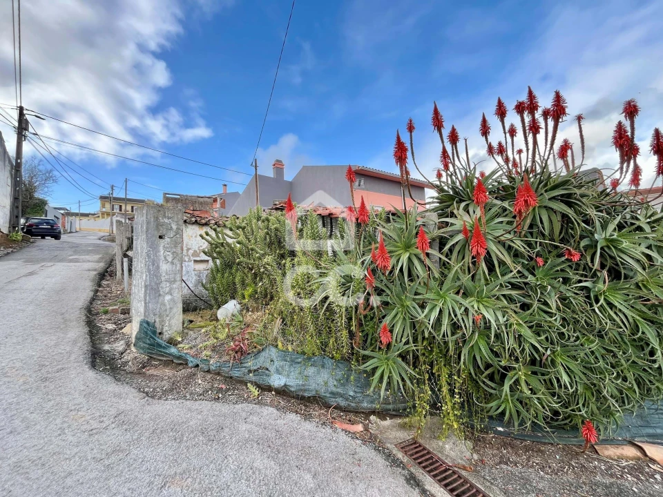 Terreno para Venda em Roliça Foto 20