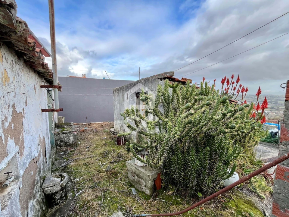 Terreno para Venda em Roliça Foto 6