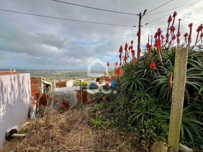 Terreno para Venda em Roliça Foto 18