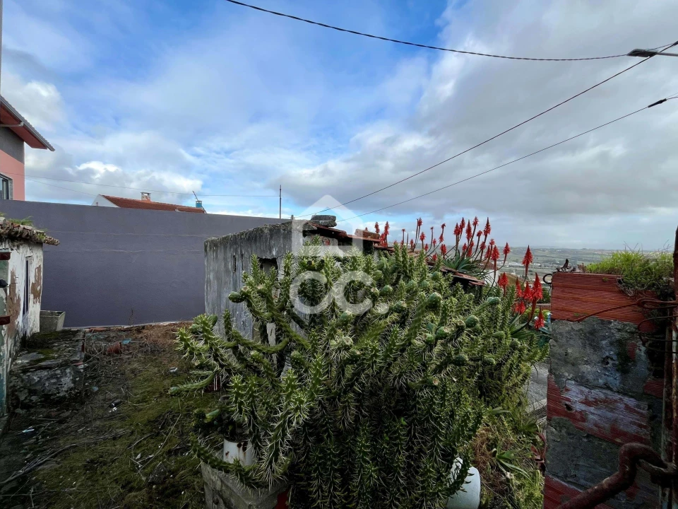 Terreno para Venda em Roliça Foto 5