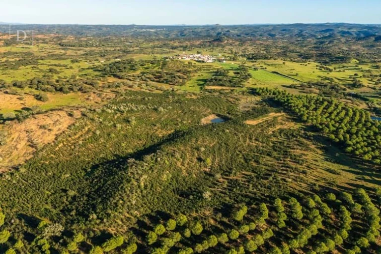 Terreno para Venda em Mertola Foto 2