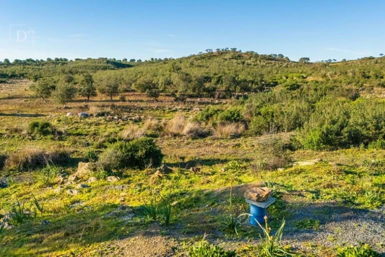 Terreno para Venda em Mertola Foto 7
