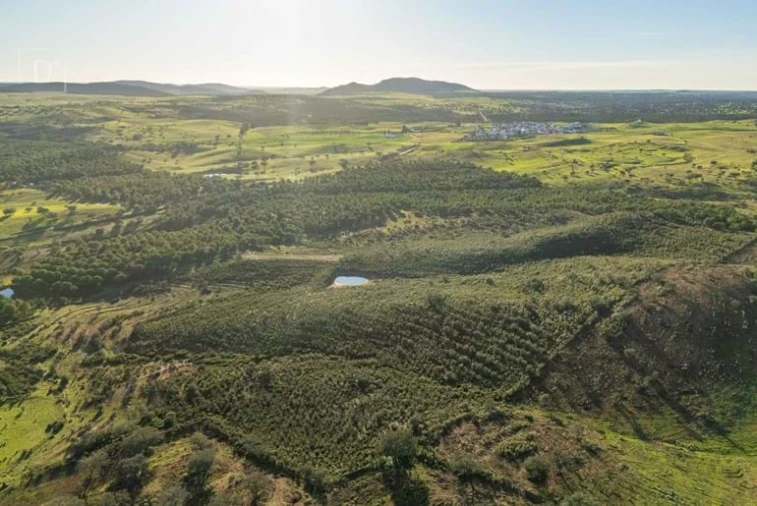 Terreno para Venda em Mertola Foto 4