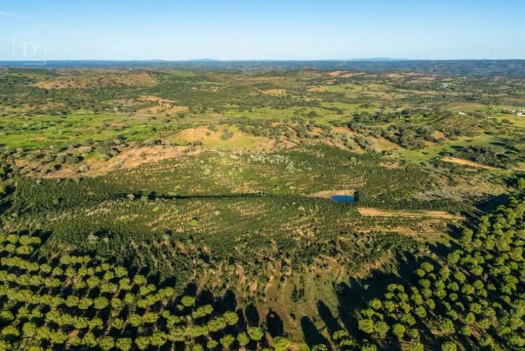 Terreno para Venda em Mertola Foto 3
